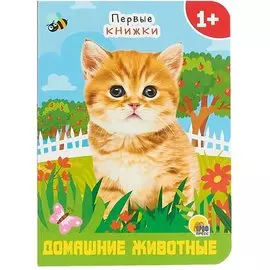 ЦК МИНИ. ДОМАШНИЕ ЖИВОТНЫЕ