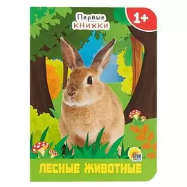 ЦК МИНИ. ЛЕСНЫЕ ЖИВОТНЫЕ