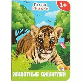 Животные джунглей