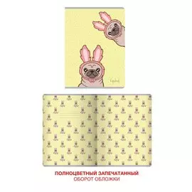 Cute &amp; Funny. Дизайн 2