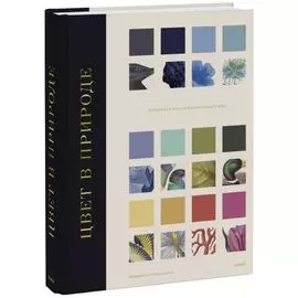 Цвет в природе. Коллекция красок окружающего мира