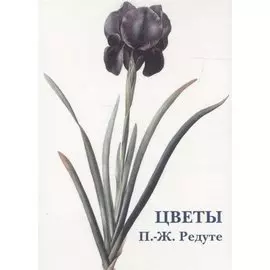 Цветы Набор открыток (худ. Рудуте) (упаковка)