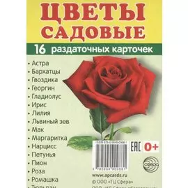 Дем. картинки СУПЕР Цветы садовые. 16 раздаточных карточек с текстом (63х87 мм)