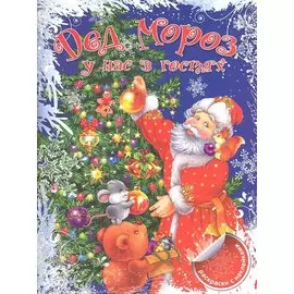 Дед Мороз у нас в гостях