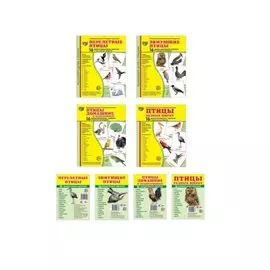 Демонстрационные картинки СУПЕР. Птицы: перелетные, зимующие, домашние (комплект из 3-х наглядных материалов в папках + 4 набора карточек)