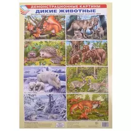 Демонстрационные картины. Дикие животные. Методический материал к основной образовательной программе ДОО