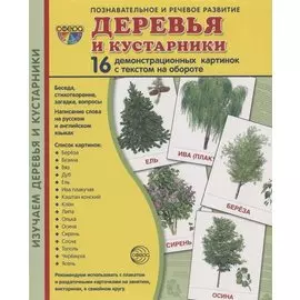 Дем. картинки СУПЕР Деревья и кустарники.16 демонстр.картинок с текстом(173х220мм)