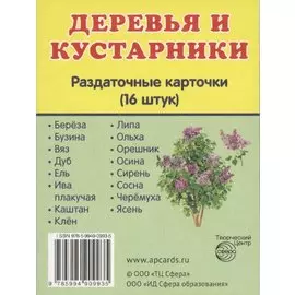 Деревья и кустарники. 16 раздаточных карточек с текстом