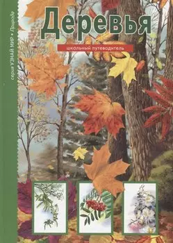 Деревья. Школьный путеводитель