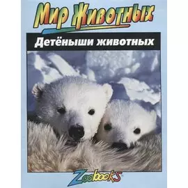 Детеныши животных