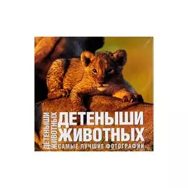 Детеныши животных