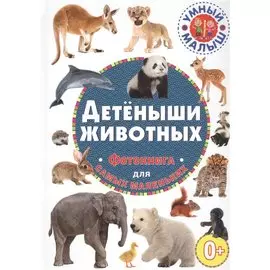 Детеныши животных. Фотокнига для самых маленьких