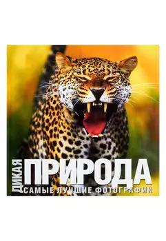 Альбом. "Дикая природа": Самые лучшие фотографии