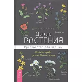 Дикие растения: руководство для ведьмы. Обычные травы для необычной магии