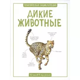 Дикие животные