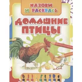 Домашние птицы