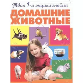 Домашние животные