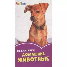 Домашние животные. 22 картинки