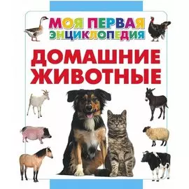 Домашние животные