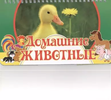 Домашние животные