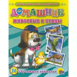 Домашние животные и птицы /16 обучающих карточек