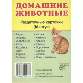 Домашние животные. 16 раздаточных карточек с текстом