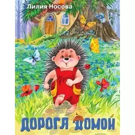 Дорога домой