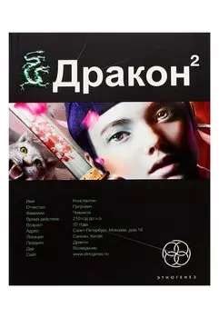 Дракон. Книга 2. Назад в будущее