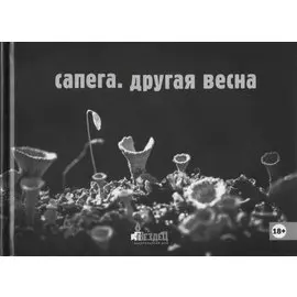 Другая весна