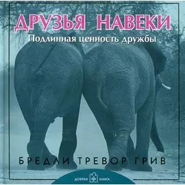 Друзья навеки. Подлинная ценность дружбы