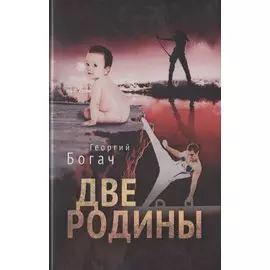 Две родины. Роман