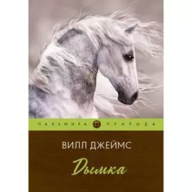 Дымка. Повесть