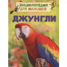 Джунгли