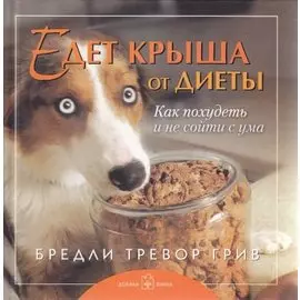 Едет крыша от диеты. Как похудеть и не сойти с ума