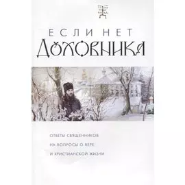 Если нет духовника. Ответы священников на вопросы о вере и христианской жизни