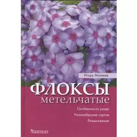Флоксы метельчатые. Особенности ухода. Разнообразие сортов. Размножение