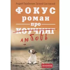 Фокус. Бизнес-роман про коучинг