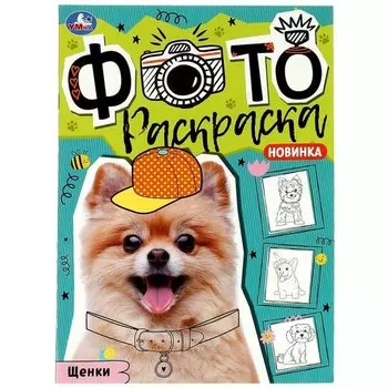 Фотораскраска. Щенки