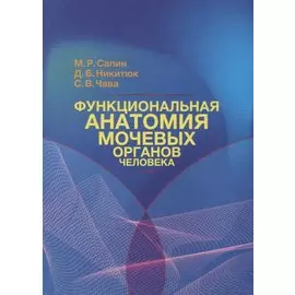 Функциональная анатомия мочевых органов человека