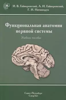 Функциональная анатомия нервной системы. Учебное пособие
