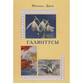 Галянтусы