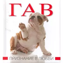 Гав. Признание в любви.