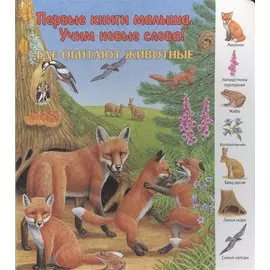 Где обитают животные. Виммельбух