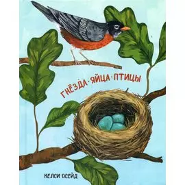 Гнезда, яйца, птицы
