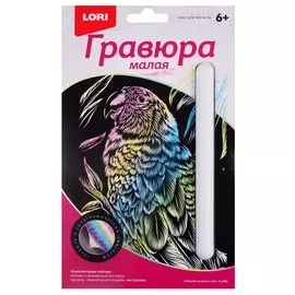 Гравюра малая LORI Попугай на ветке Гр-594