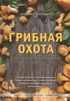 Грибная охота: советы опытного грибника