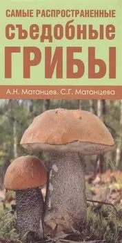 Грибы. Карманный атлас-определитель(1) = Самые распространенные съедобные грибы(2). (Оформление: 2)
