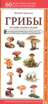 Грибы русских лесов и полей