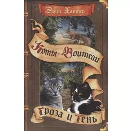 Гроза и Тень