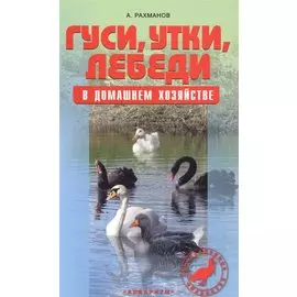 Гуси, утки, лебеди в домашнем хозяйстве